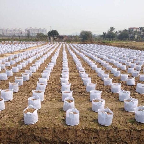 planters & pots 5 sizes thicken garden planting bags white fabric plant pouch root container cultivation pot grow bag aeration
planters & pots 5 sizes thicken garden planting bags white fabric plant pouch root container cultivation pot grow bag aeration