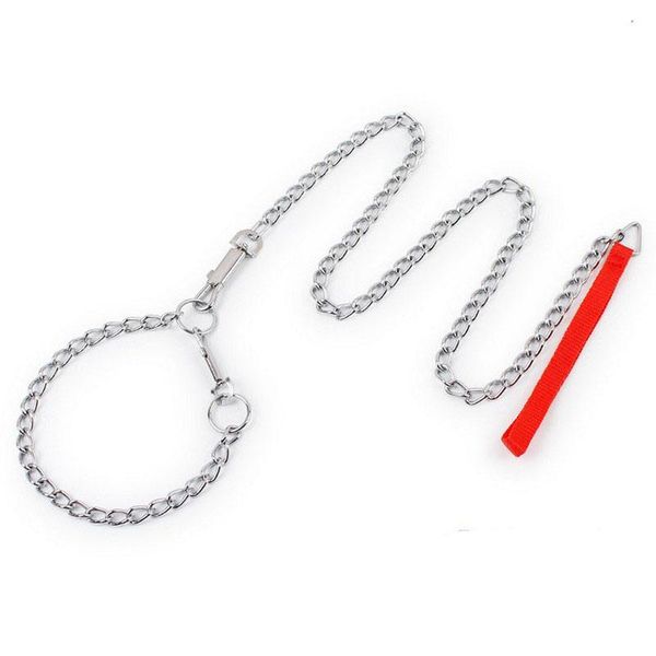 pet chrome plated metal iron dog leash and collar set anti bite pet training slip chains collar leads for small medium large dog
pet chrome plated metal iron dog leash and collar set anti bite pet training slip chains collar leads for small medium large dog