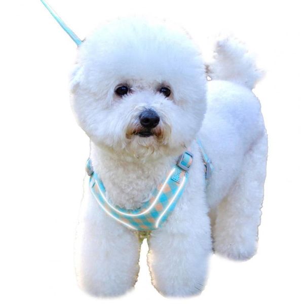 dog collars & leashes pet harness leash reflective stripes anti-escape breathable dogs chest strap traction rope kit supplies
dog collars & leashes pet harness leash reflective stripes anti-escape breathable dogs chest strap traction rope kit supplies