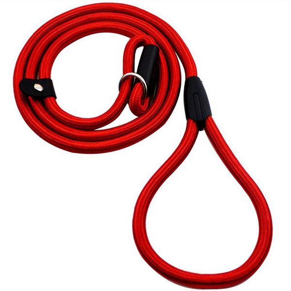 dog collars & leashes sturdy pet collar rope nylon slip training walking lead with p chain 1cm red
dog collars & leashes sturdy pet collar rope nylon slip training walking lead with p chain 1cm red