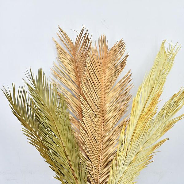 decorative flowers & wreaths forest wedding props iron leaves dried small fresh home decoration nordic reed
decorative flowers & wreaths forest wedding props iron leaves dried small fresh home decoration nordic reed