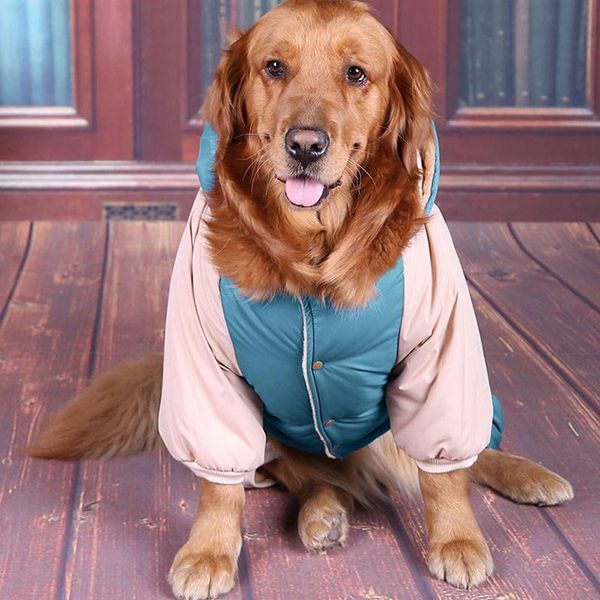 dog apparel golden retriever clothes winter baseball jackets warm labrador pet for big dogs alaska ubranka dla psa
dog apparel golden retriever clothes winter baseball jackets warm labrador pet for big dogs alaska ubranka dla psa