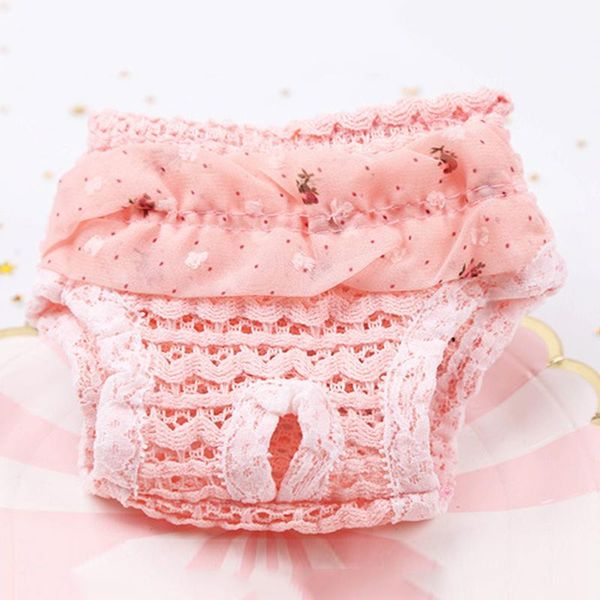 dog apparel pet diaper physiological pants sanitary panties washable female shorts underwear lace edge trousers
dog apparel pet diaper physiological pants sanitary panties washable female shorts underwear lace edge trousers
