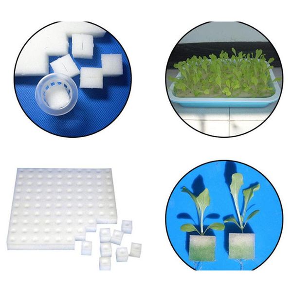 planters & pots 100pcs/lot white seedling sponge soilless hydroponic vegetables nursery seedlings cloning collar garden cultivation plants
planters & pots 100pcs/lot white seedling sponge soilless hydroponic vegetables nursery seedlings cloning collar garden cultivation plants