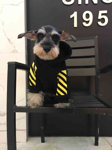 teddy cloth autumn and winter psh dog parent-child vip bixiong pet fadouchao brand dog sweater
teddy cloth autumn and winter psh dog parent-child vip bixiong pet fadouchao brand dog sweater