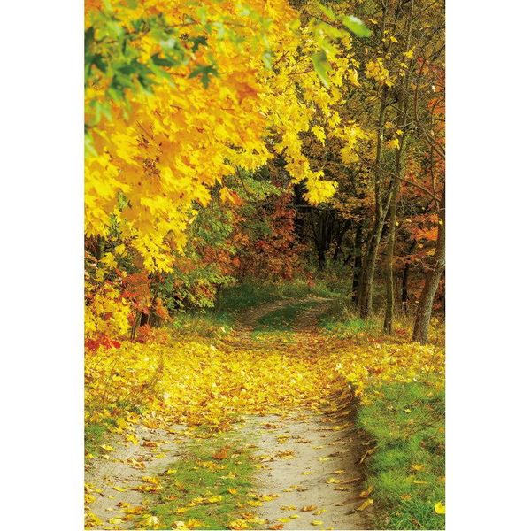 party decoration natural scenery backdrop autumn forest trail pography background baby shower wedding po booth studio prop
party decoration natural scenery backdrop autumn forest trail pography background baby shower wedding po booth studio prop