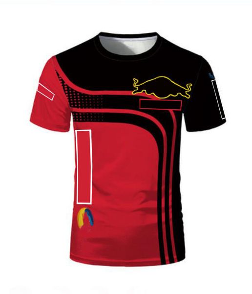 f1 racing short sleeves, team downhill jerseys, t-shirts, 2021polyester quick-drying, the same customization
f1 racing short sleeves, team downhill jerseys, t-shirts, 2021polyester quick-drying, the same customization