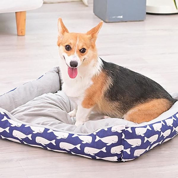 2021 new dog beds and houses bed pet accessories for dogs mat cat plush house cats plaid pets supplies big small cushion sofa a 
2021 new dog beds and houses bed pet accessories for dogs mat cat plush house cats plaid pets supplies big small cushion sofa a