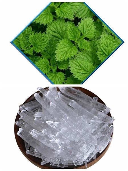 fragrance lamps wholesale mint ice algefacient diy makeup cosmetic material with
fragrance lamps wholesale mint ice algefacient diy makeup cosmetic material with
