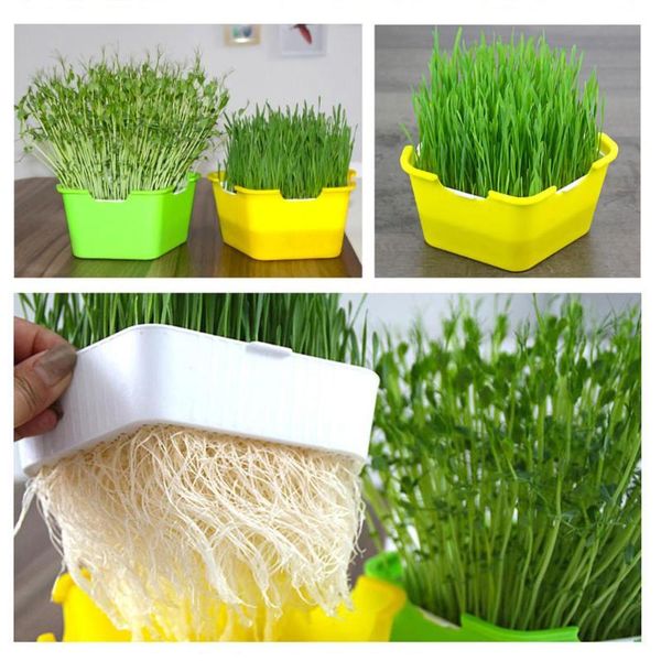 planters & pots double-layer pentagonal plastic hydroponic flower basket plant sprouting tray box sprout seedling planting
planters & pots double-layer pentagonal plastic hydroponic flower basket plant sprouting tray box sprout seedling planting