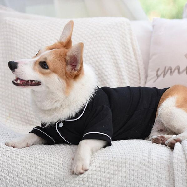 dog apparel pet cat clothes winter warm for small dogs clothing comfortable simple pets products pink black
dog apparel pet cat clothes winter warm for small dogs clothing comfortable simple pets products pink black