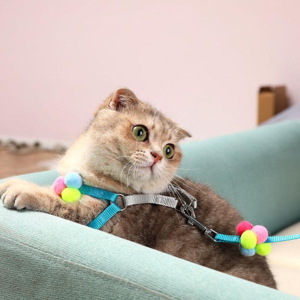 cat collars & leads collar harness leash adjustable nylon pet traction kitten dog halter cats products belt
cat collars & leads collar harness leash adjustable nylon pet traction kitten dog halter cats products belt