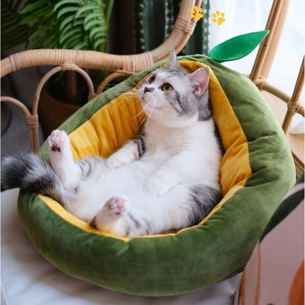 kennels & pens pet cat house for dogs mat warm bed cute small cats beds nest avocado shape sleeping bags comfortable puppy kennel sofa
kennels & pens pet cat house for dogs mat warm bed cute small cats beds nest avocado shape sleeping bags comfortable puppy kennel sofa