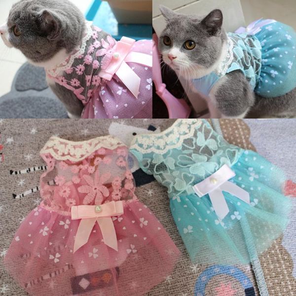 dog apparel s summer pet cat clothes lovely lace bow skirt dresses for pets party costume puppy xs-xl
dog apparel s summer pet cat clothes lovely lace bow skirt dresses for pets party costume puppy xs-xl