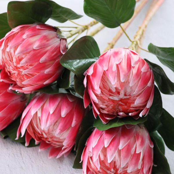 decorative flowers & wreaths floral artificial flower silk single simulation beautiful 1pcs 69.5cm po props wedding party supply european st
decorative flowers & wreaths floral artificial flower silk single simulation beautiful 1pcs 69.5cm po props wedding party supply european st
