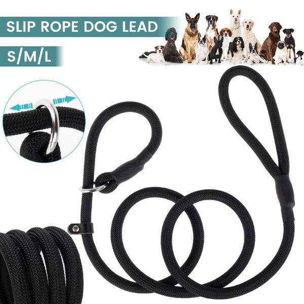 dog collars & leashes training leash slip pet traction collar for s\m\l harness nylon rope lead strap accessories adjustable
dog collars & leashes training leash slip pet traction collar for s\m\l harness nylon rope lead strap accessories adjustable