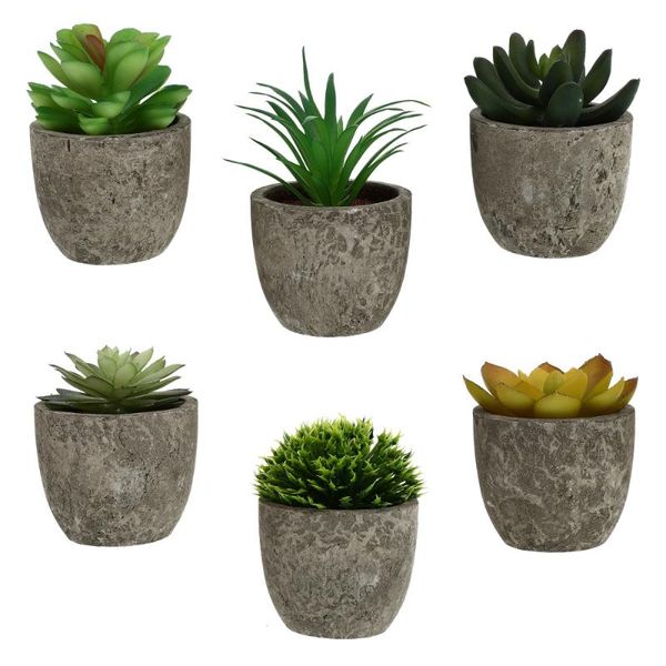 decorative flowers & wreaths 6pcs artificial succulent plant deskadornments realistic potted decors
decorative flowers & wreaths 6pcs artificial succulent plant deskadornments realistic potted decors