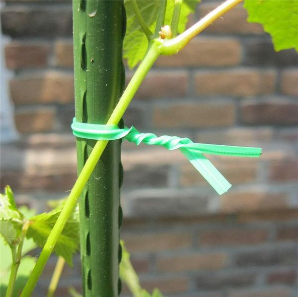 other garden supplies 200pcs/pack green vine climbing plants cable tie lines plant brackets parts bonsai flower cucumber grape rattan effect
other garden supplies 200pcs/pack green vine climbing plants cable tie lines plant brackets parts bonsai flower cucumber grape rattan effect