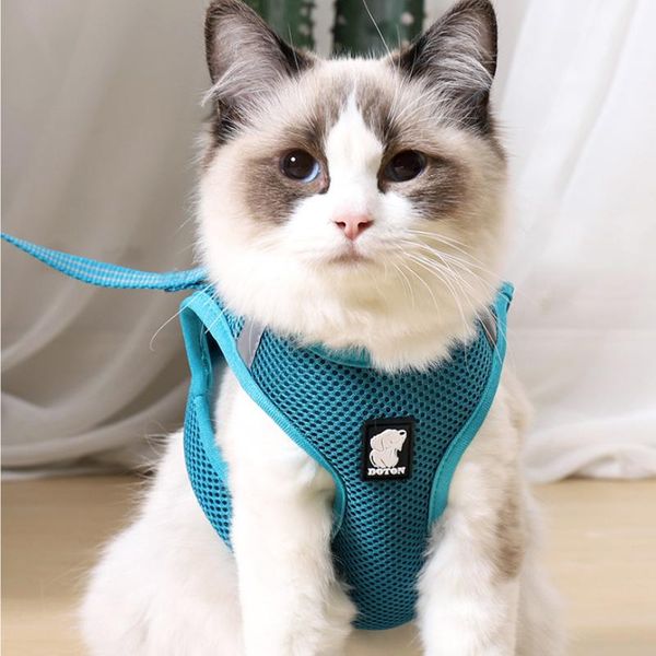 cat collars & leads dog adjustable harness vest walking lead leash for puppy dogs collar polyester mesh small medium pet
cat collars & leads dog adjustable harness vest walking lead leash for puppy dogs collar polyester mesh small medium pet