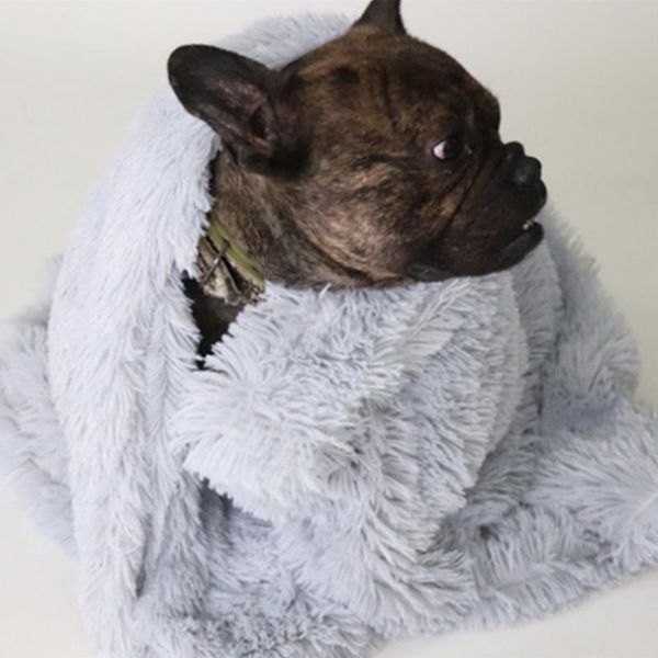 kennels & pens pet blanket long plush cooling mats soft double layer fluffy deep sleeping cover cat dog slppeing playing summer mat
kennels & pens pet blanket long plush cooling mats soft double layer fluffy deep sleeping cover cat dog slppeing playing summer mat