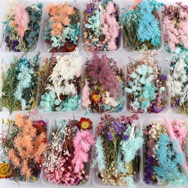 decorative flowers & wreaths 1 box real dried flower dry plants natural immortal po frame making craft diy accessories home decoration
decorative flowers & wreaths 1 box real dried flower dry plants natural immortal po frame making craft diy accessories home decoration