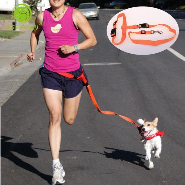 dog collars & leashes nylon leash hands pet lead walking running jogging waist belt for chihuahua adjustable 7colors
dog collars & leashes nylon leash hands pet lead walking running jogging waist belt for chihuahua adjustable 7colors