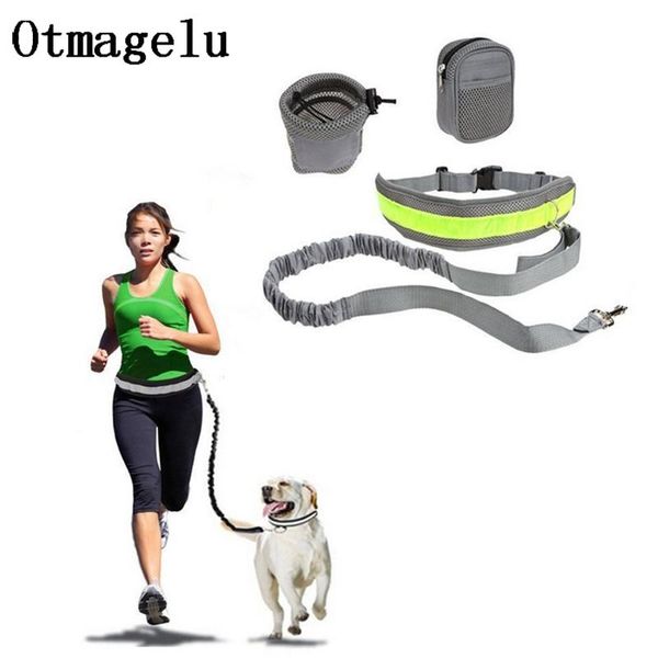 dog collars & leashes elastic traction belt rope set leash pet run with keeper pets sport reward bag debris storage kits
dog collars & leashes elastic traction belt rope set leash pet run with keeper pets sport reward bag debris storage kits