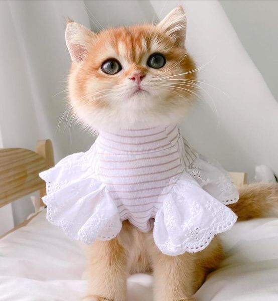 cat costumes dog clothes spring and summer dress vest sling small thin section teddy
cat costumes dog clothes spring and summer dress vest sling small thin section teddy