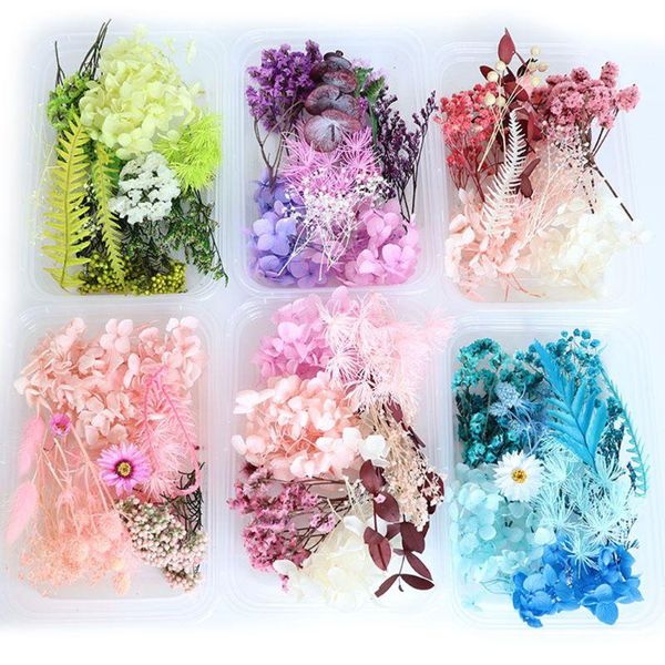 pool & accessories 1 box real mix dried flowers for candle resin jewellery dry plants pressed flower making craft diy home
pool & accessories 1 box real mix dried flowers for candle resin jewellery dry plants pressed flower making craft diy home