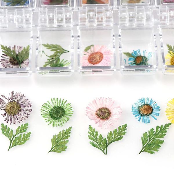 1 box dried daisy cherry blossoms real material flower for pendant necklace jewelry making craft phone case diy nail acc jllzjt
1 box dried daisy cherry blossoms real material flower for pendant necklace jewelry making craft phone case diy nail acc jllzjt