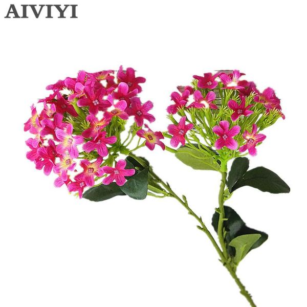 decorative flowers & wreaths foreign trade excellent night scented artificial flower fake home ornament wedding pography diydecoration flore
decorative flowers & wreaths foreign trade excellent night scented artificial flower fake home ornament wedding pography diydecoration flore