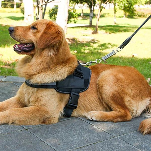dog collars & leashes oxford cloth pet chest strap outdoor adjustable leash accessories fastening tape back
dog collars & leashes oxford cloth pet chest strap outdoor adjustable leash accessories fastening tape back