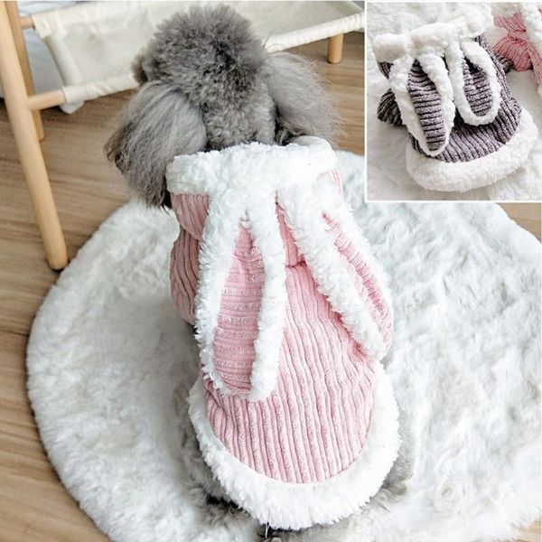 dog apparel winter clothes warm pet clothing cute coat jacket outfit chihuahua yorkie poodle pomeranian schnauzer costumes
dog apparel winter clothes warm pet clothing cute coat jacket outfit chihuahua yorkie poodle pomeranian schnauzer costumes