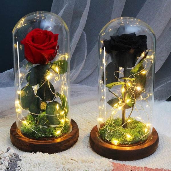 decorative flowers & wreaths beauty and the beas dried in flask glass dome on a wooden base for wedding party mother's day gift valenti
decorative flowers & wreaths beauty and the beas dried in flask glass dome on a wooden base for wedding party mother's day gift valenti