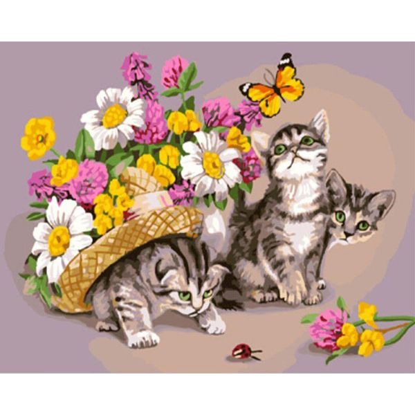 paintings selilali butterfly flower on cat animal picture by numbers adults unique gift hand made framed canvas home decoration craft
paintings selilali butterfly flower on cat animal picture by numbers adults unique gift hand made framed canvas home decoration craft