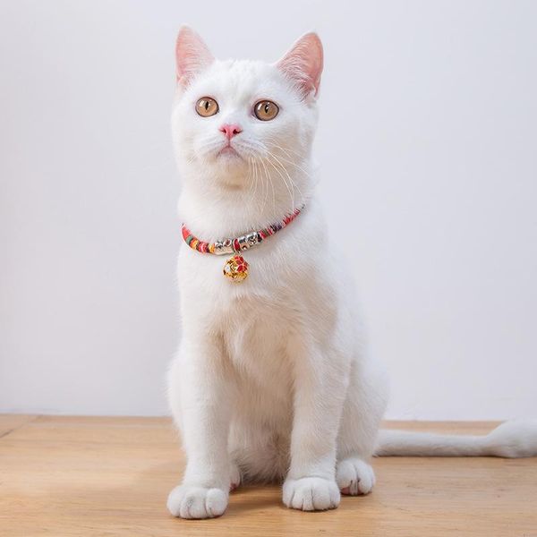 cat collars & leads pet adjustable collar bohemian style with bell national accessories supplies
cat collars & leads pet adjustable collar bohemian style with bell national accessories supplies