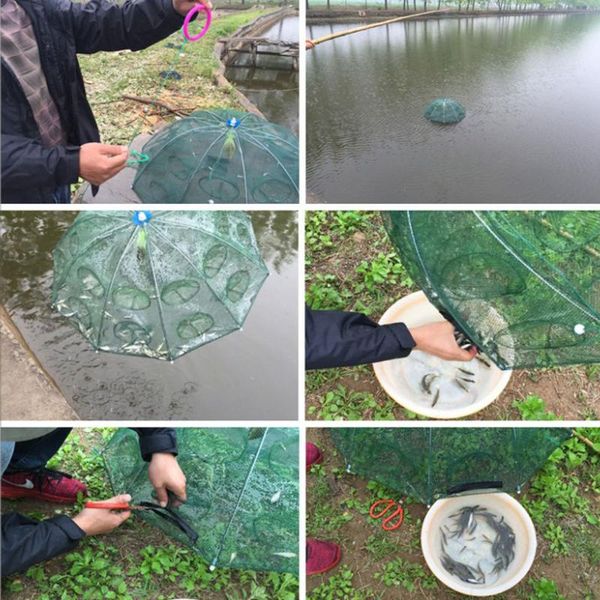 fishing net folding portable hexagon dish network casting nets crayfish shrimp catcher trap cages mesh
fishing net folding portable hexagon dish network casting nets crayfish shrimp catcher trap cages mesh