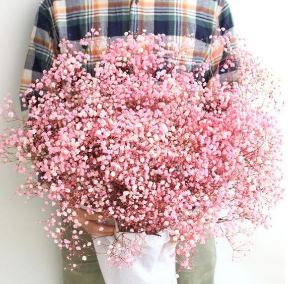 coloful babys breath artificial flowers gypsophila plastic flowers for home decorative diy wed party decoration fake flower
coloful babys breath artificial flowers gypsophila plastic flowers for home decorative diy wed party decoration fake flower