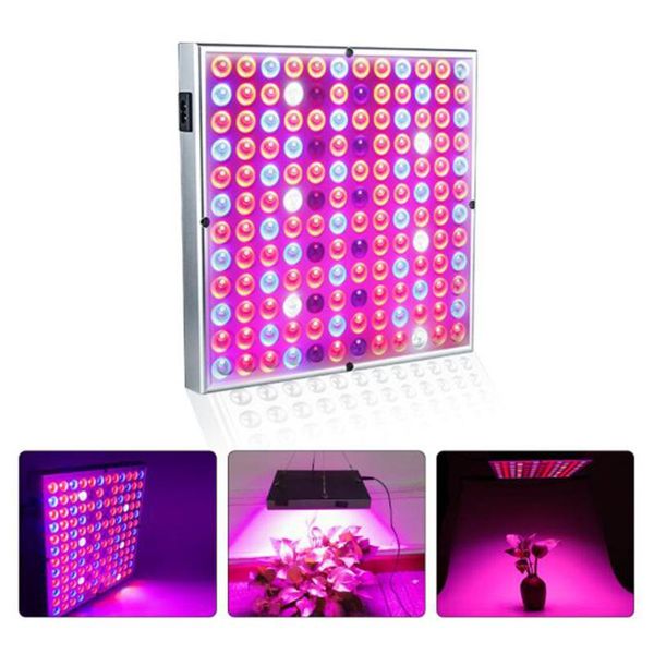 25w 75 led grow light 2835 leds chip grow light full spectrum plant lighting for plants flowers seedling greenhouse cultivation
25w 75 led grow light 2835 leds chip grow light full spectrum plant lighting for plants flowers seedling greenhouse cultivation