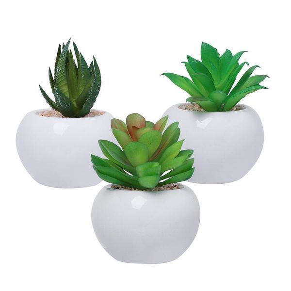 decorative flowers & wreaths 3/4 pcs mini faux succulent artificial fake simulation plants with white pots bonsai
decorative flowers & wreaths 3/4 pcs mini faux succulent artificial fake simulation plants with white pots bonsai