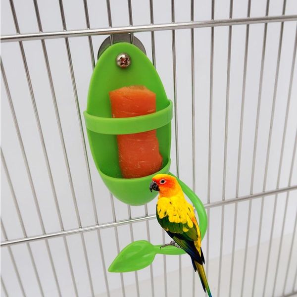 other bird supplies parrot feeder fruit vegetable holder plastic hanging container supply
other bird supplies parrot feeder fruit vegetable holder plastic hanging container supply