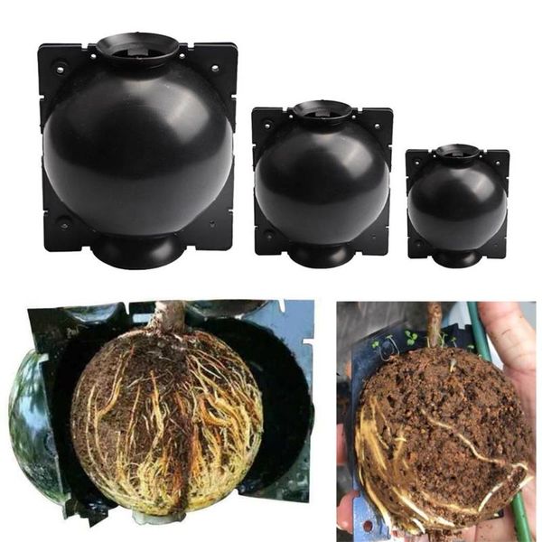 6pcs plant rooting equipment high pressure case propagation ball grafting propagator seedling tray growth planters & pots
6pcs plant rooting equipment high pressure case propagation ball grafting propagator seedling tray growth planters & pots