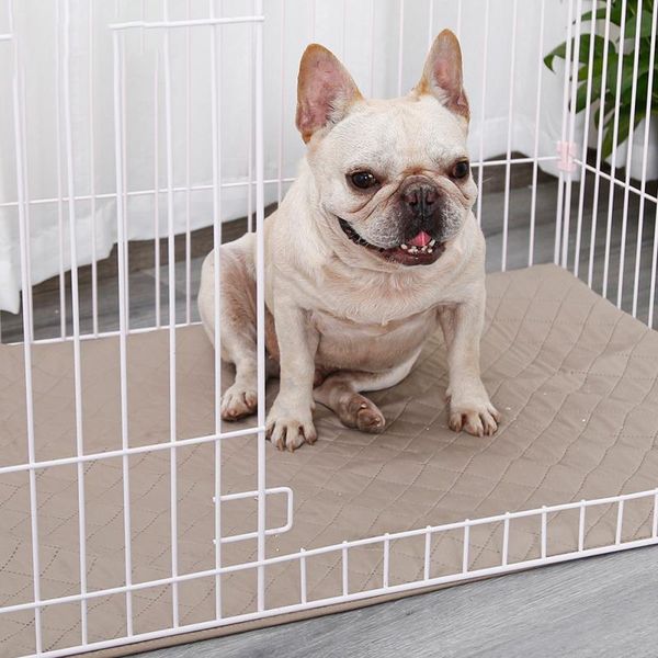 natural bamboo fiber premium waterproof pet pad and bed mat for dog reusable washable leak proof pee pads for dog crates hot
natural bamboo fiber premium waterproof pet pad and bed mat for dog reusable washable leak proof pee pads for dog crates hot