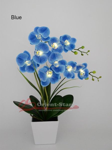 home decoration blue 9 leds phalaenopsis pot lamp 50cm artificial flower real touch orchid latex bonsai lamp for wedding decor
home decoration blue 9 leds phalaenopsis pot lamp 50cm artificial flower real touch orchid latex bonsai lamp for wedding decor
