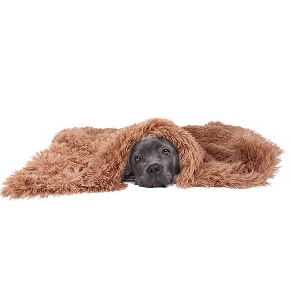 kennels & pens pet kennel dog nest bed cat blanket mat for dogs winter warm super soft long wool puppy sleeping pad
kennels & pens pet kennel dog nest bed cat blanket mat for dogs winter warm super soft long wool puppy sleeping pad