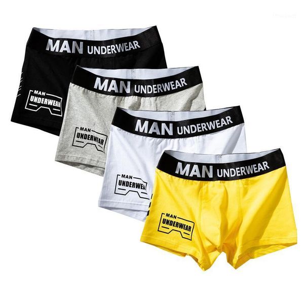 underpants 4pcs/lot men underpant boxer cotton brand letter pocket man underwear panties quality breathable fashion men's shorts, Black;white
underpants 4pcs/lot men underpant boxer cotton brand letter pocket man underwear panties quality breathable fashion men's shorts, Black;white