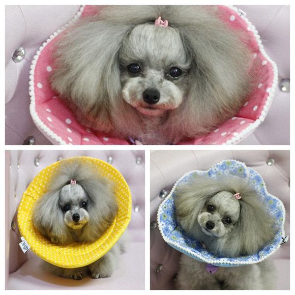 dog collars & leashes elizabeth collar for dogs cats small cute protection circle anti bite prevent scratching pet accessories mp0077
dog collars & leashes elizabeth collar for dogs cats small cute protection circle anti bite prevent scratching pet accessories mp0077