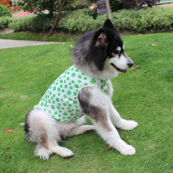 pet it golden husky big dog vt breathable lovely pet summer cloth season clearance 2 piec
pet it golden husky big dog vt breathable lovely pet summer cloth season clearance 2 piec