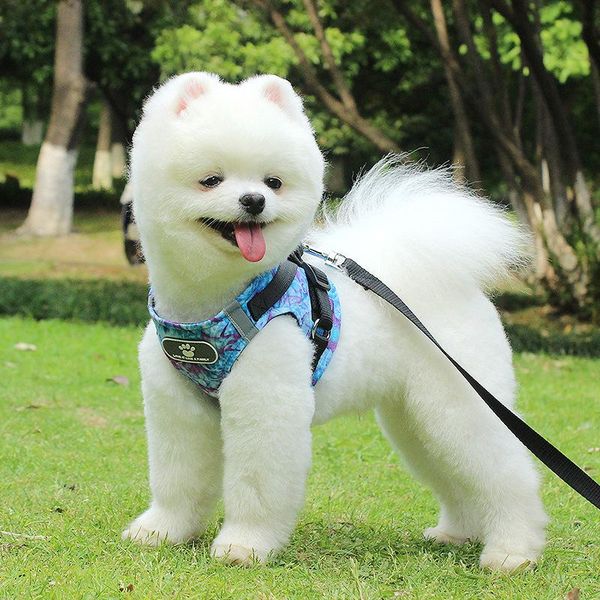 dog collars & leashes cat harness pet adjustable vest with safety reflective tape for puppy dogs leash fashion yellow green blue ocean print
dog collars & leashes cat harness pet adjustable vest with safety reflective tape for puppy dogs leash fashion yellow green blue ocean print