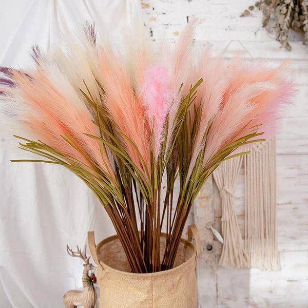 decorative flowers & wreaths 100cm artificial white pampas grass bouquet diy living room arrange christmas wedding party home decoration fak
decorative flowers & wreaths 100cm artificial white pampas grass bouquet diy living room arrange christmas wedding party home decoration fak